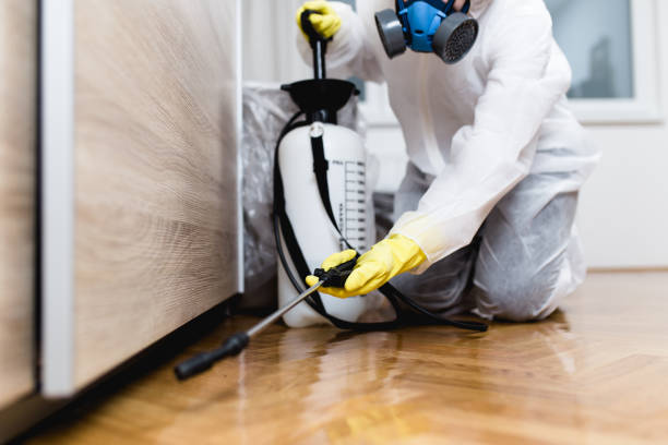  South Gull Lake, MI Pest Control Pros