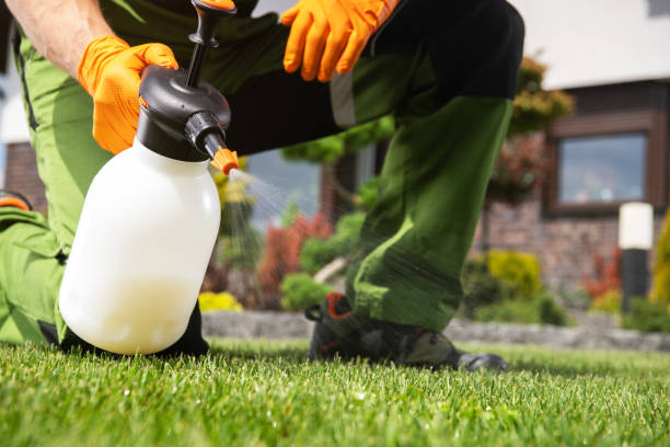 Best Wasp Removal Services  in South Gull Lake, MI