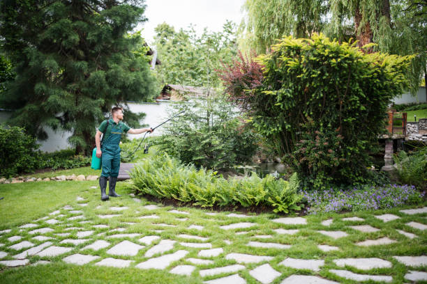 Best Termite Control Services  in South Gull Lake, MI