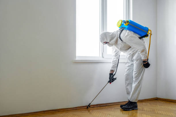 Best Pest Removal Services  in South Gull Lake, MI