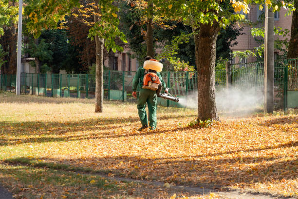 Best Pest Control Near Me  in South Gull Lake, MI