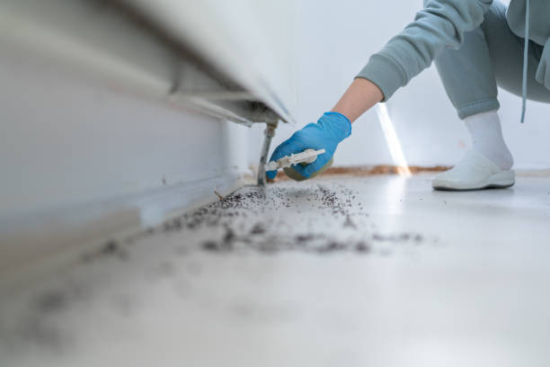Best Wildlife Control Services  in South Gull Lake, MI