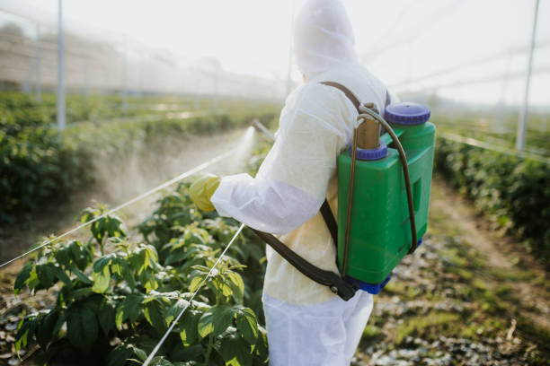 Best Mosquito Control Services  in South Gull Lake, MI